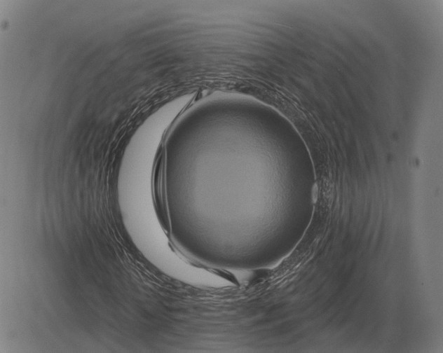 X0000083040818200702161704