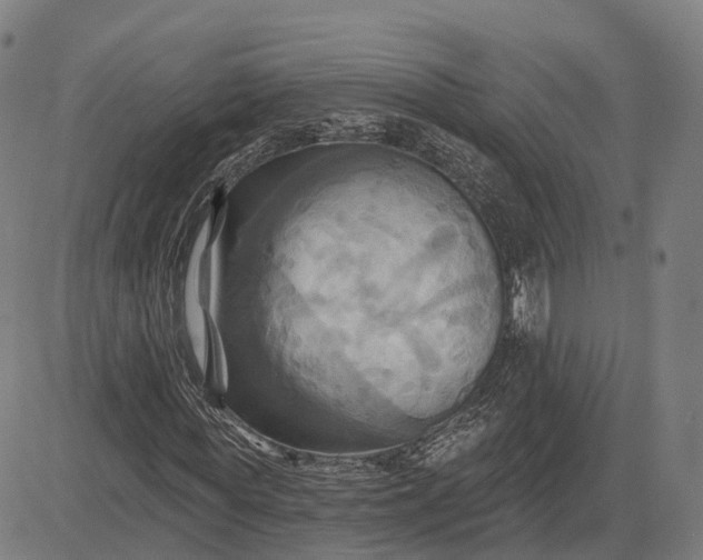 X0000083040819200702161704