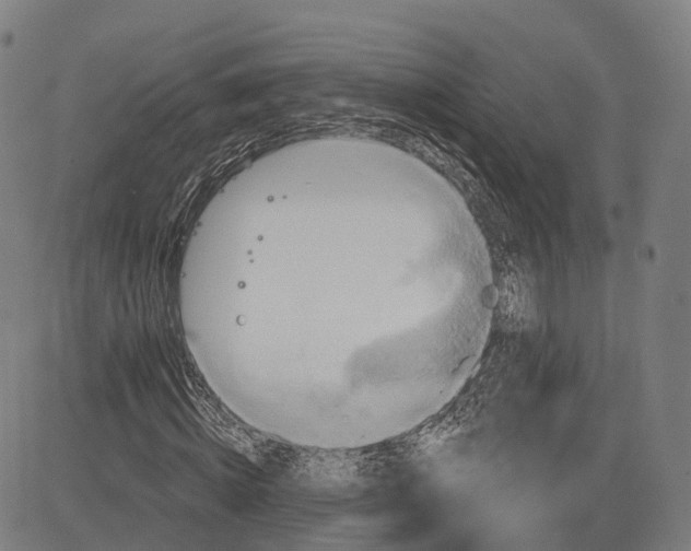 X0000083040820200702161704