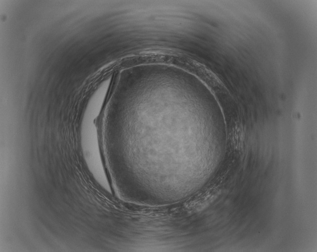 X0000083040821200702161704