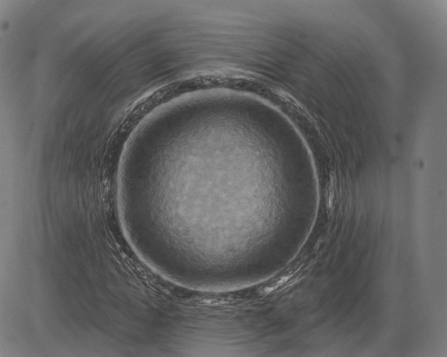 X0000083040822200702161704