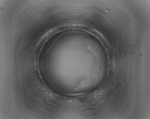 X0000083040823200702161704