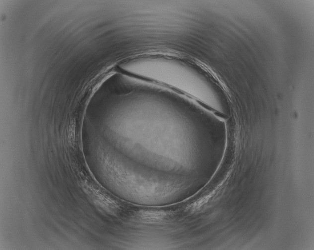 X0000083040825200702161704