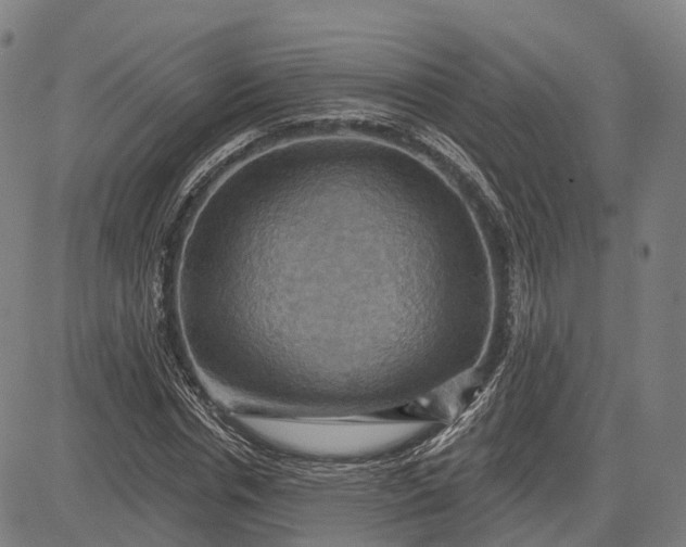 X0000083040826200702161704