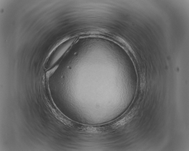 X0000083040827200702161704