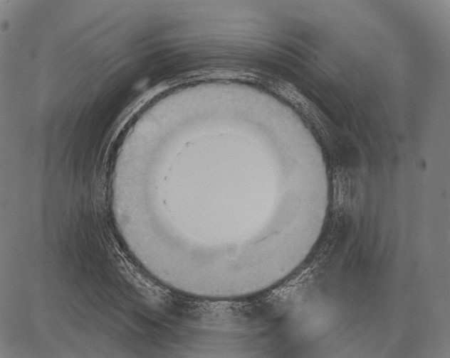 X0000083040828200702161704