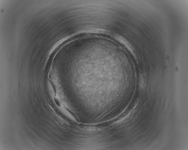 X0000083040829200702161704