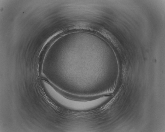 X0000083040830200702161704