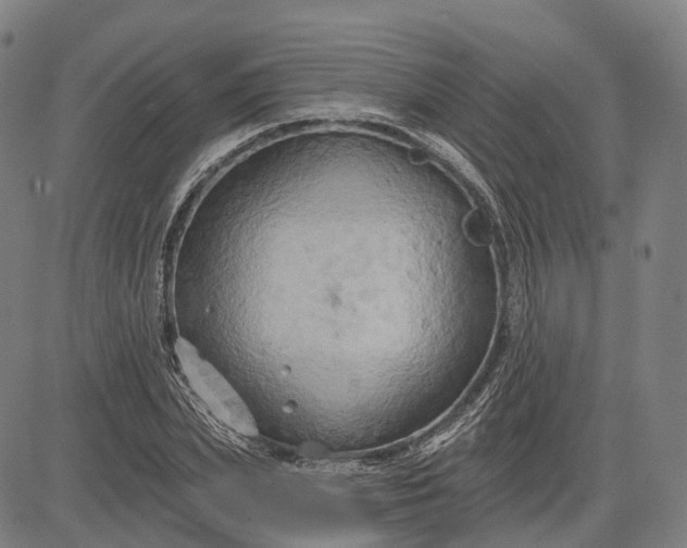 X0000083040831200702161704