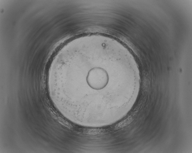 X0000083040832200702161704