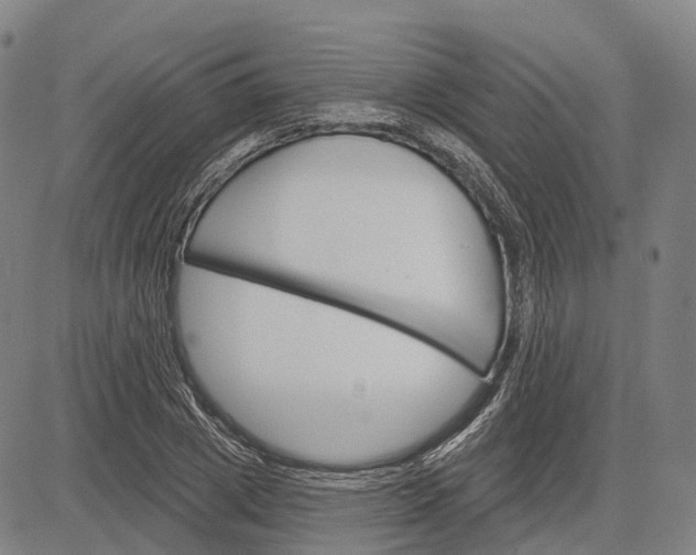 X0000083040833200702161704