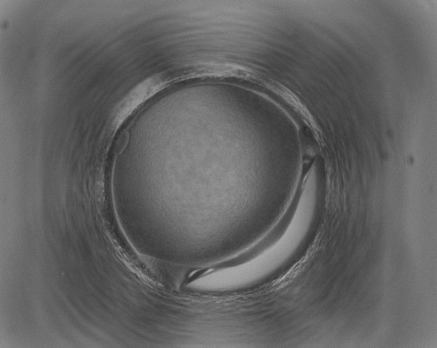 X0000083040834200702161704