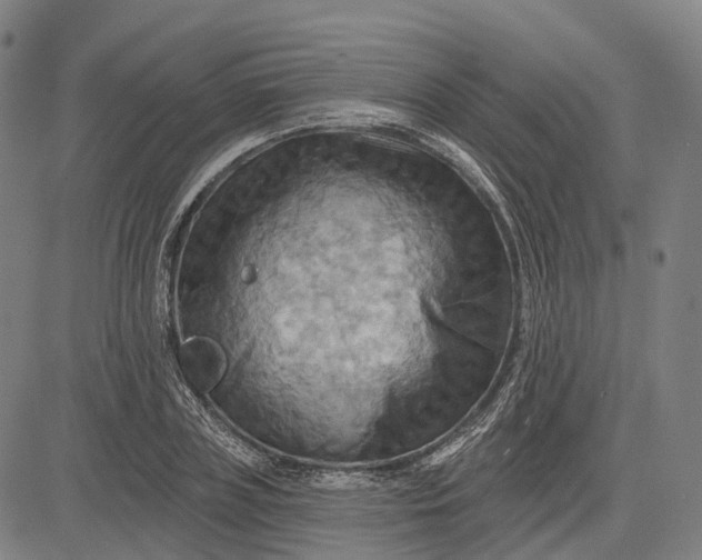 X0000083040835200702161704