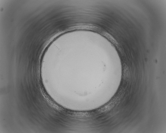 X0000083040836200702161704