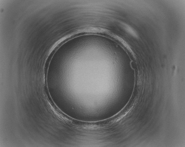 X0000083040837200702161704