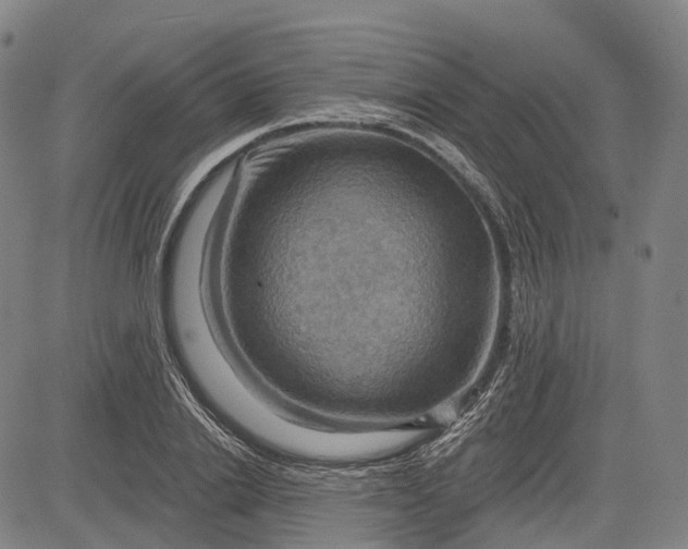 X0000083040838200702161704