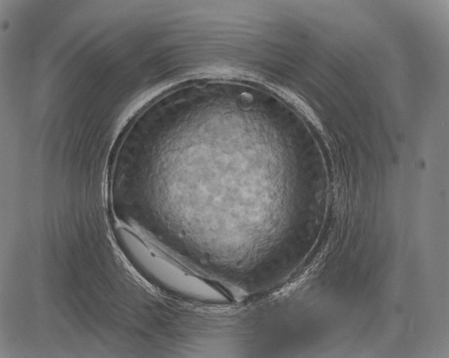 X0000083040839200702161704