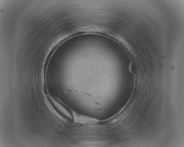 X0000083040840200702161704