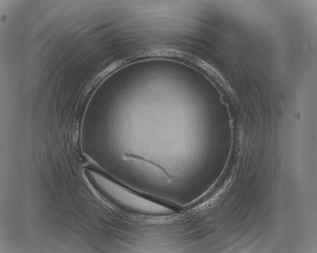 X0000083040841200702161704