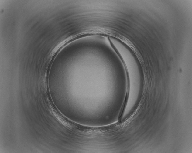 X0000083040842200702161704