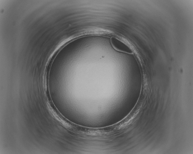 X0000083040843200702161704