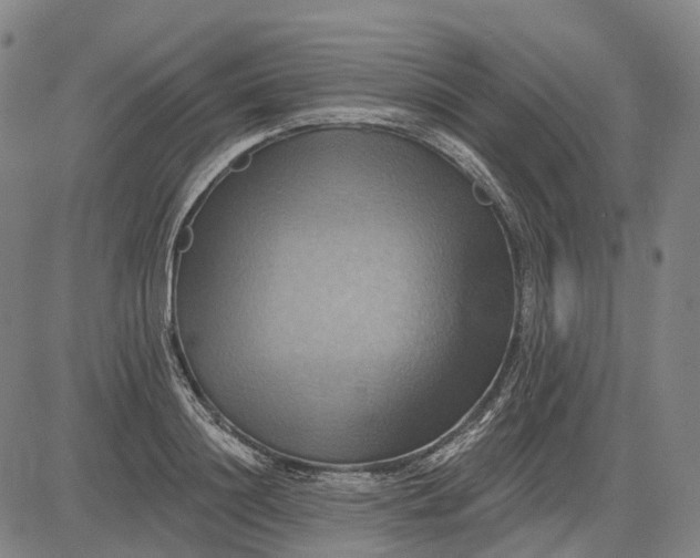 X0000083040844200702161704