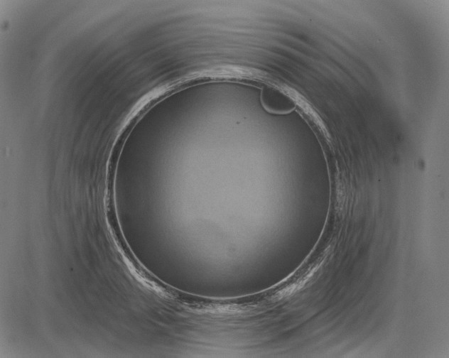 X0000083040845200702161704