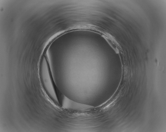 X0000083040846200702161704