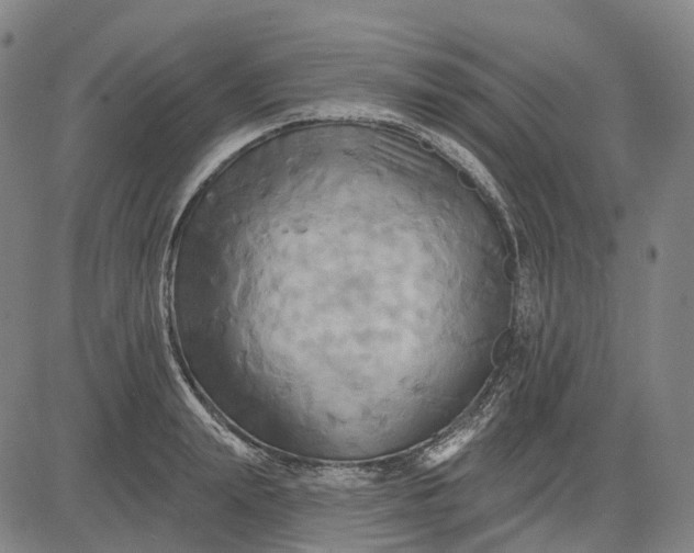 X0000083040847200702161704