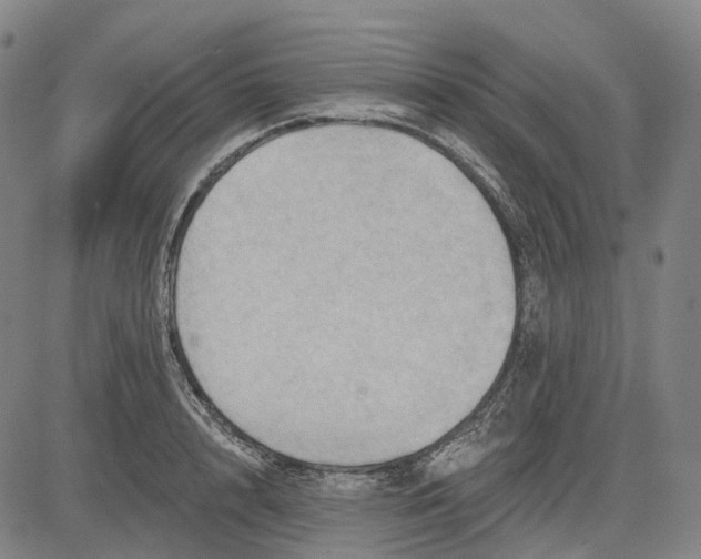 X0000083040848200702161704