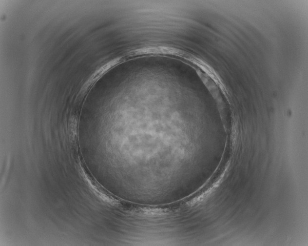 X0000083040849200702161704