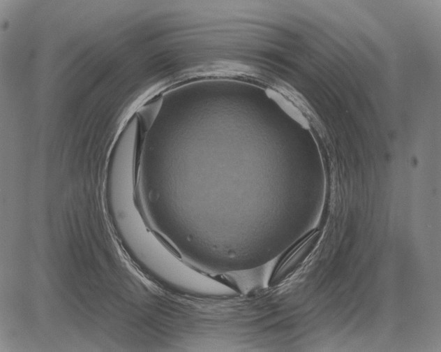 X0000083040850200702161704