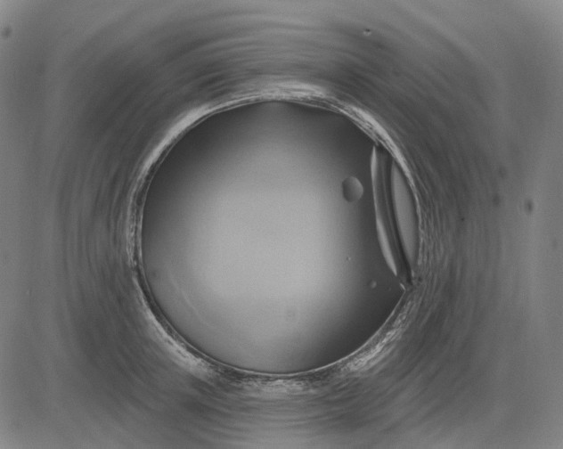 X0000083040851200702161704