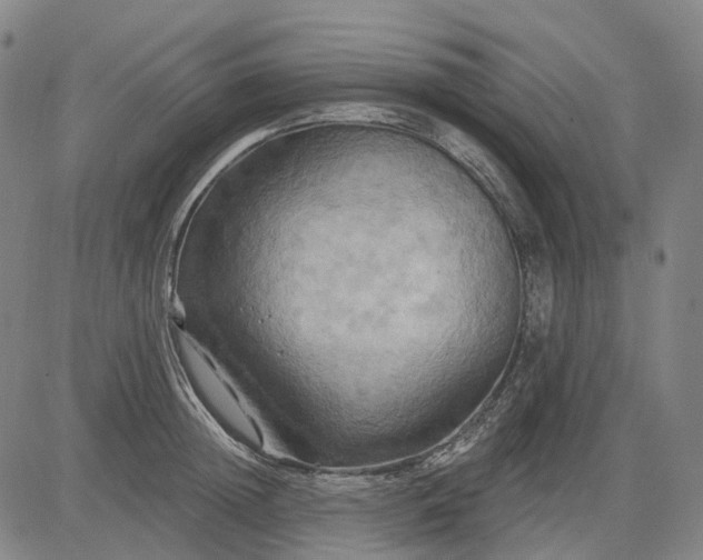 X0000083040852200702161704