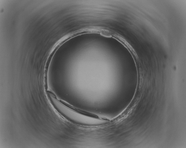 X0000083040853200702161704