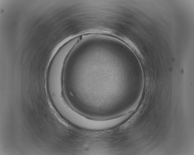 X0000083040854200702161704