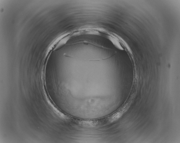 X0000083040855200702161705