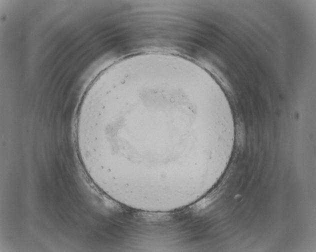 X0000083040856200702161705