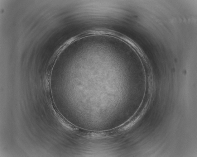 X0000083040857200702161705