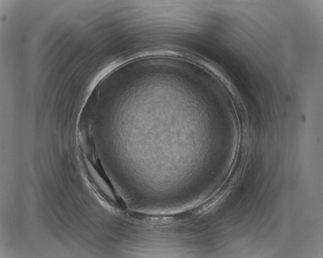 X0000083040858200702161705