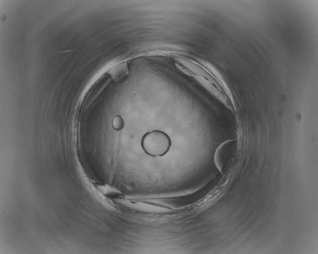 X0000083040859200702161705