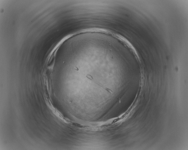 X0000083040860200702161705