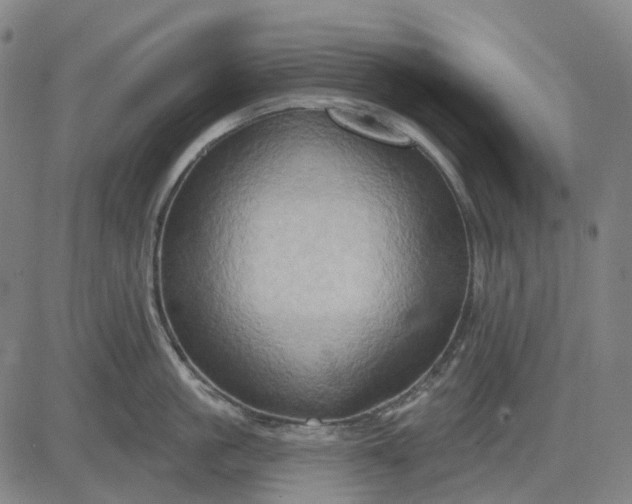 X0000083040861200702161705