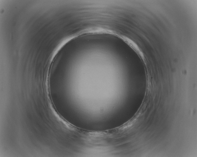 X0000083040863200702161705