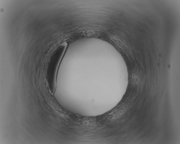 X0000083040865200702161704