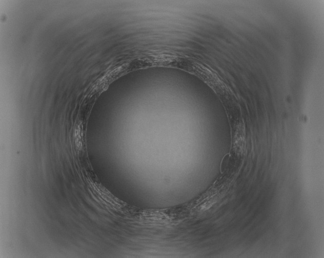 X0000083040866200702161704