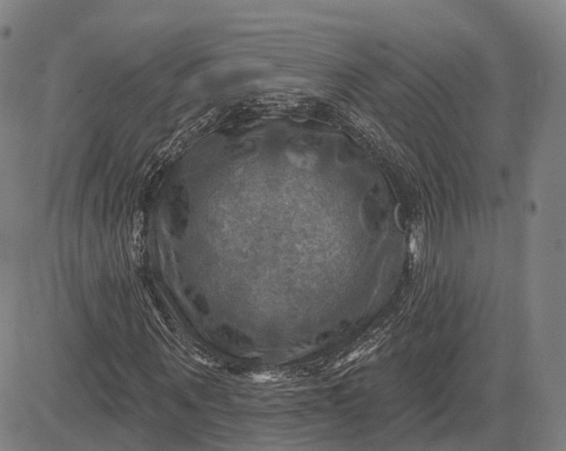 X0000083040867200702161704