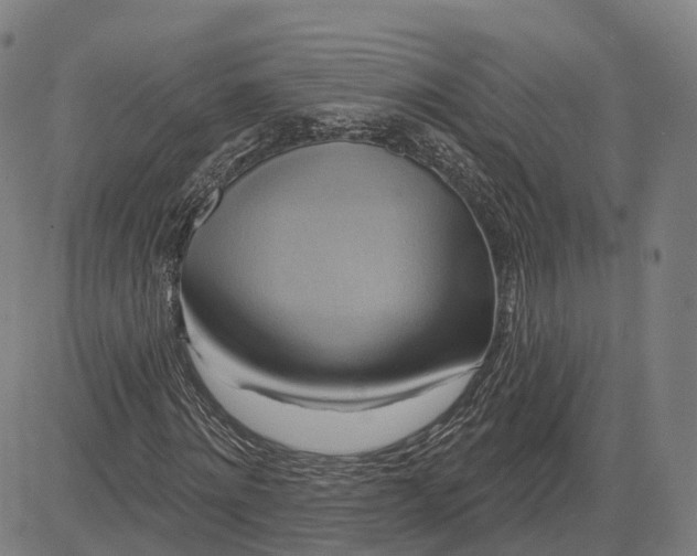 X0000083040868200702161704