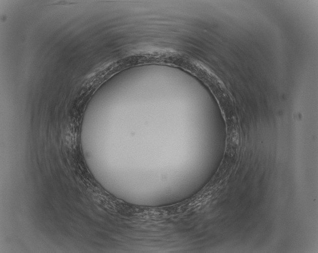 X0000083040869200702161704