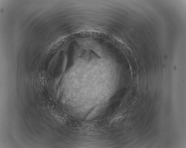 X0000083040870200702161704